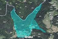 Ca. 16 ha Vielseitige Land- und Forstwirtschaftsflächen im Sackgraben – Gnadenberg