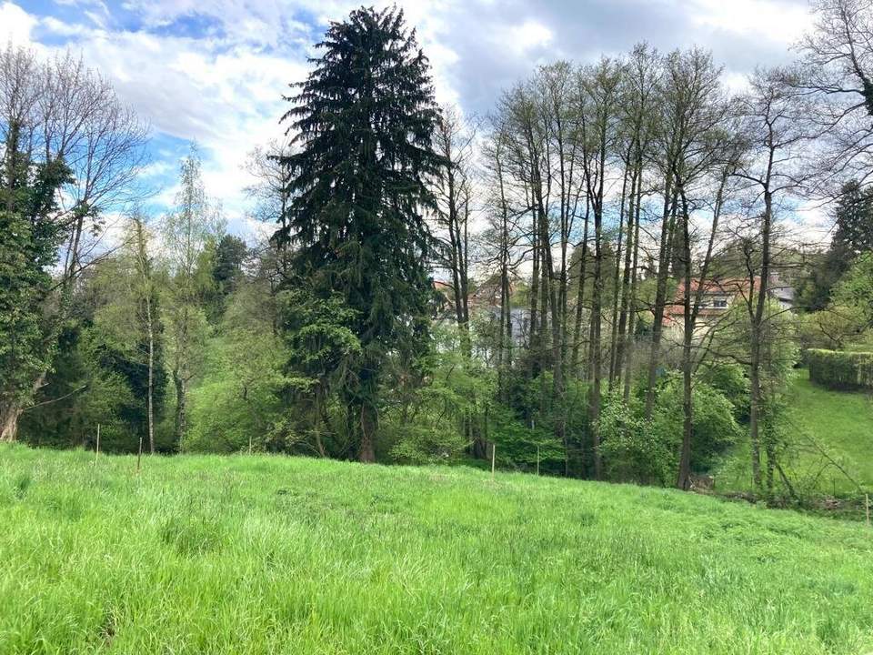 RARITÄT IN GRAZ-GEIDORF: Ihr Sonnengrundstück am begehrten Rosenberg!