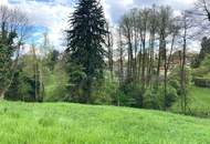 RARITÄT IN GRAZ-GEIDORF: Ihr Sonnengrundstück am begehrten Rosenberg!