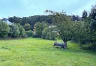 Baugrundstück mit angrenzendem Obstgarten