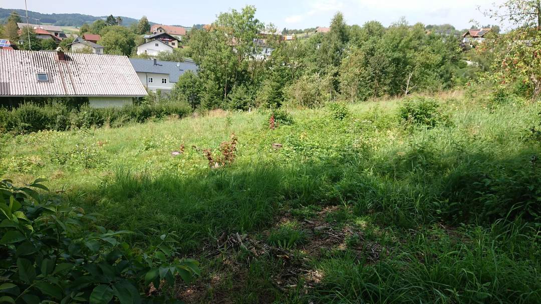 Großzügiges Baugrundstück in Natternbach