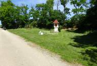 ETW mit großer Terrasse- Erstbezug! Münichsthal im Weinviertel- 12km zur Grenze Wiens!!!