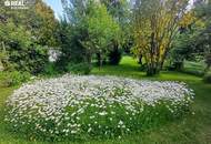 Geräumiges Wohnhaus mit großem Garten und angrenzendem Fischteich