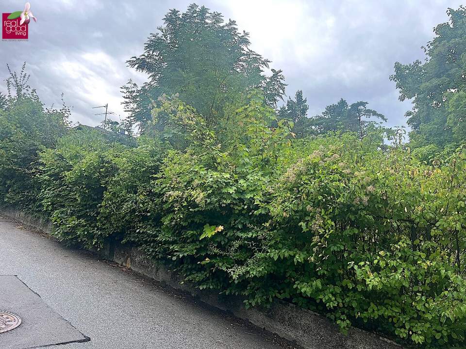 Baugrund in Klosterneuburg – Weidling 1.793 m² Grundstücksfläche | Altbestand vorhanden | teilbar !!