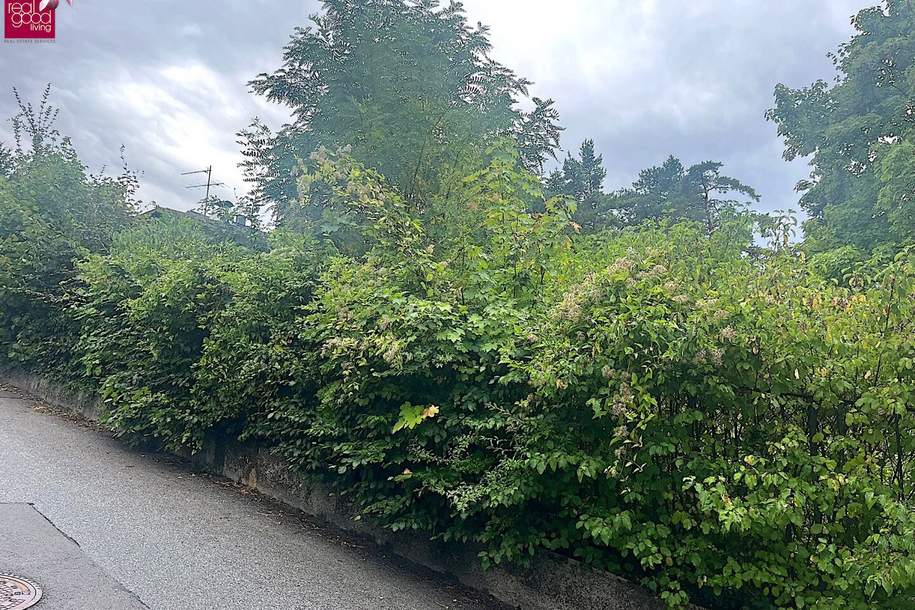 Baugrund in Klosterneuburg – Weidling 1.793 m² Grundstücksfläche | Altbestand vorhanden | teilbar !!, Grund und Boden-kauf, 3400 Tulln