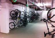 4 rooms, terrace, garage, near VIC - new renovated