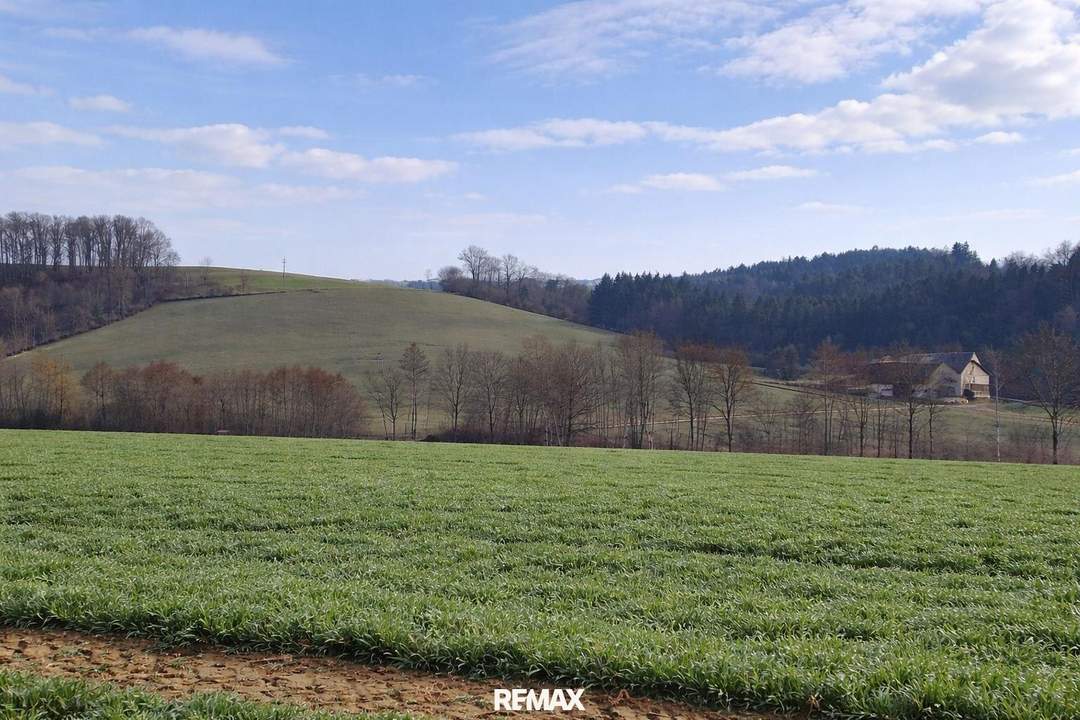Landwirtschaftliche Nutzflächen in St. Agatha / Waizenkirchen