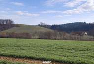 Landwirtschaftliche Nutzflächen in St. Agatha / Waizenkirchen
