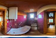 Alte Donau: Kleingartengrundstück mit Altbestand und Entwicklungspotenzial