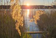 Seegrundstück mit Steg, Boje & Weinfass-Schlafplatz – direkt am Obertrumer See!