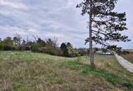 Attraktives Baugrundstück in Grünruhelage!