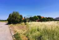 MIT BLICK ZUM LEITHAGEBIRGE UND NEUSIEDLERSEE