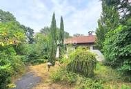 Bauträger oder Privatperson: Traumhaftes Grundstück mit Altbaumbestand in ruhiger Lage - teilbar