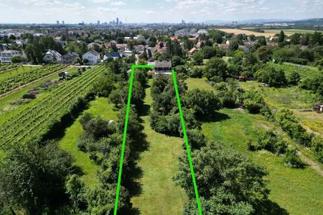 Wien-Stammersdorf: sanierungsbedürftiges Winzerhaus mit 2.285 m² Grund in Grünlage, Haus-kauf, 650.000,€, 1210 Wien 21., Floridsdorf