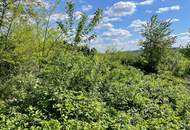 Baugrund in Aussichtslage!