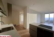 SILVESTER MIT FERNBLICK