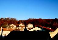 NEUER PREIS! - Bezugsfertige 3 Zimmer-Wohnung mit sonnigen Balkon und Tiefgaragenplatz im Wienerwald!