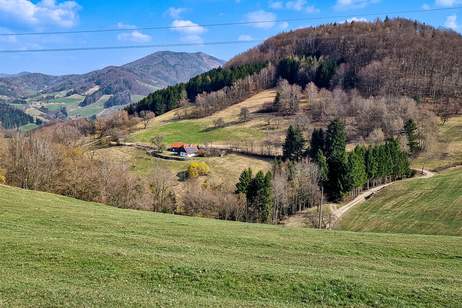 RARITÄT IN ABSOLUTER EINZELLAGE: IDYLLISCHES HIDEAWAY MIT NEBENGEBÄUDE &amp; GROSSEM POTENZIAL, Haus-kauf, 350.000,€, 3204 Sankt Pölten(Land)