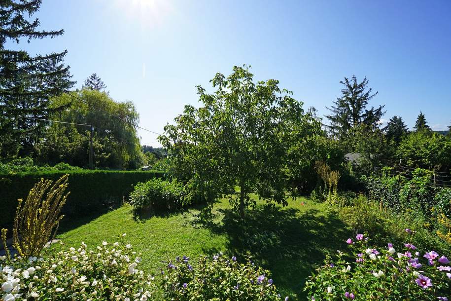 Kleingarten-Doppelparzelle im Eigentum mit Altbestand - Ober St. Veit beim Lainzer Tiergarten, Grund und Boden-kauf, 790.000,€, 1130 Wien 13., Hietzing