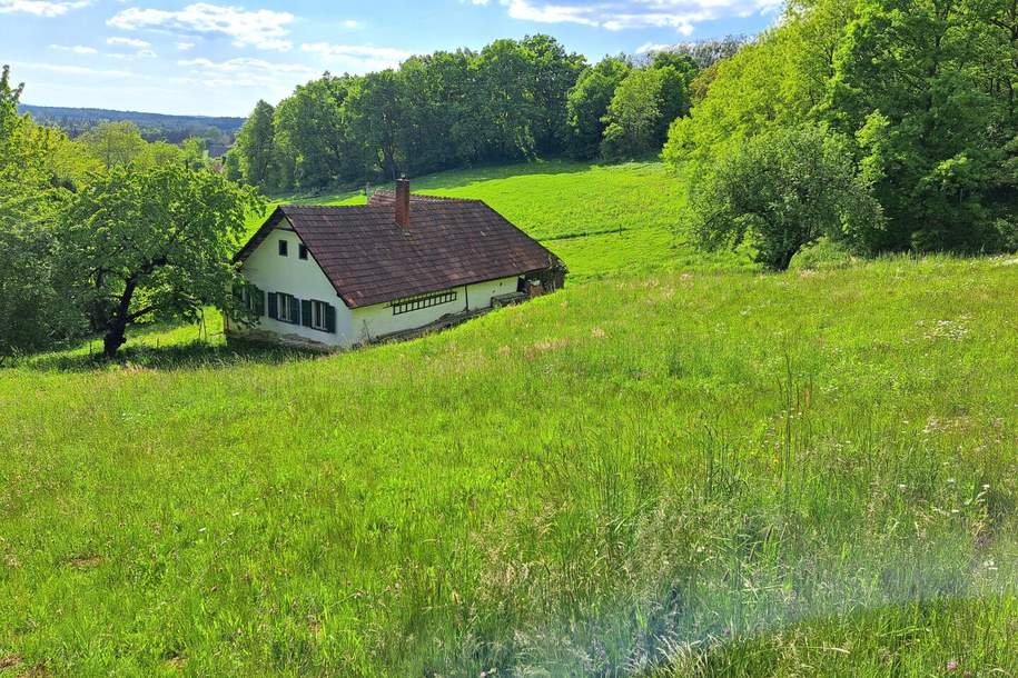 Oberdorf: Großes Grundstück mit sehr sanierungsbedürftigem Bauernhaus in traumhafter Lage, Grund und Boden-kauf, 65.000,€, 7501 Oberwart
