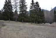 Hier planen und errichten wir unser gemeinsames Wohnhaus