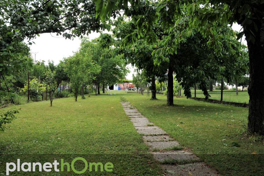 Ist es auch Ihr Traum, eigenes Obst und Gemüse zu ernten?, Haus-kauf, 370.000,€, 7053 Eisenstadt-Umgebung