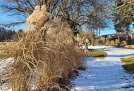 IDYLLISCHER LANDSITZ AUF ca. 3200m² BAULAND-AGRARGEBIET MIT VORRÜBERGEHENDEM WOHNRECHT ZU VERKAUFEN.