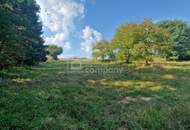 Großer Grund - Bauland Misch + GHg – 4134m² um nur 150.000 €! Gewerbe + Wohnen + Garten