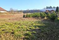 Gutshof &amp; landwirtschaftliche Flächen