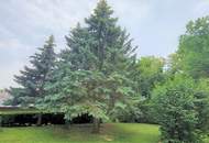 Eigengrund in Bestlage der Siedlung Wolfsbergen/Hagenbrunn