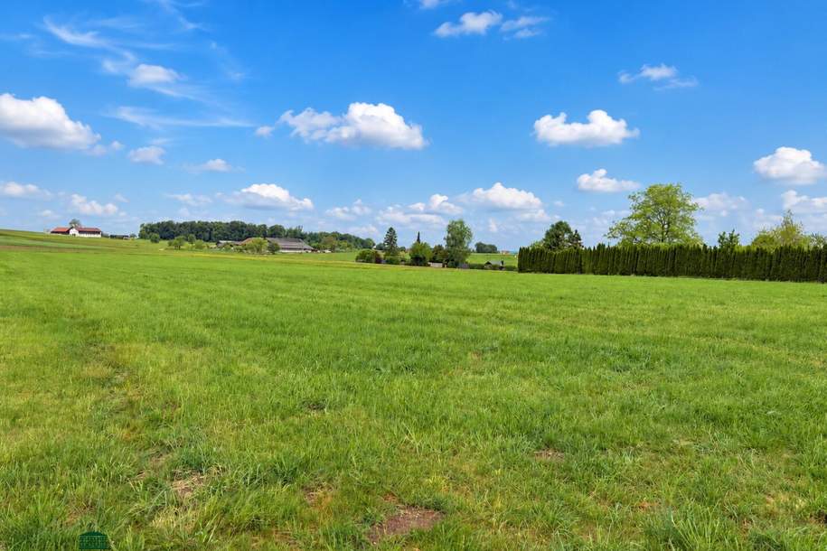 Großes Baugrundstück in ruhiger Lage - Grundstück Norden, Grund und Boden-kauf, 458.500,€, 5142 Braunau am Inn