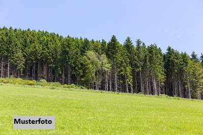 Landwirtschafts- und Waldfläche mit Hütte, Grund und Boden-kauf, 280.000,€, 9100 Völkermarkt