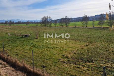Schöne landwirtschaftliche Flächen in Neukirchen bei Lambach im Ausmaß von ca. 16.400 m², Grund und Boden-kauf, 254.000,€, 4671 Wels-Land
