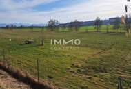 Schöne landwirtschaftliche Flächen in Neukirchen bei Lambach im Ausmaß von ca. 16.400 m²