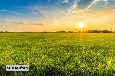 Landwirtschaftliche Zeltrundbogenhalle + provisionsfrei +