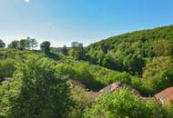 Großzügiges Wohnen im Wienerwald - mit unverbaubarem Ausblick!
