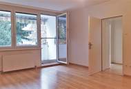 Bad´ner Wohnung: eine coole- gleich um´s Eck der Fachhochschule!