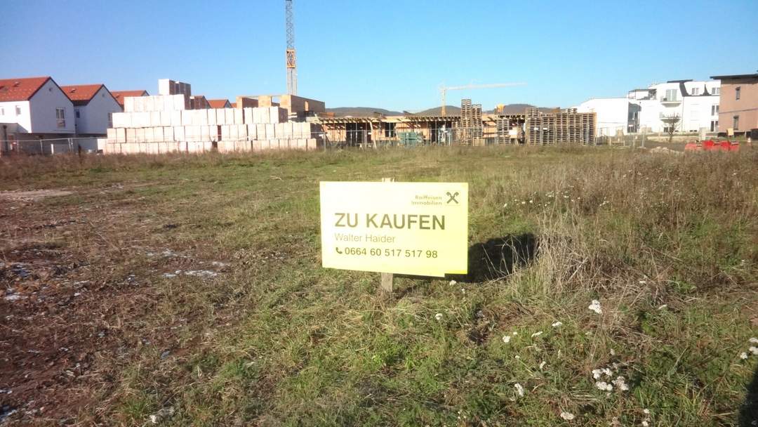 Baugründe in Purbach!