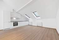 Über den Wolken nahe dem Servitenviertel/Clusiusgasse DG mit Terrasse ca. 11m²