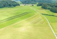 Landwirtschaftliche Nutzfläche in Neumarkt am Wallersee