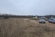 große Lager-/Verkaufs-/Produktionsfläche - Halle in Niederabsdorf