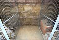 2 Zimmer Altbauwohnung in der Storchengasse - nur ca. 3 - 4 Gehminuten zu den U-Bahnen U4 &amp; U6