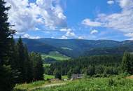 außergewöhnliche Lage auf der Hebalm - Grund an höchster Stelle (Provisionsfrei)