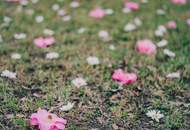 Großartiges Grundstück in Leoben! Ideal gelegen in einer begehrten Wohngegend – Perfekt für Ihr Doppelhaus-Projekt! Nutzen Sie die Gelegenheit