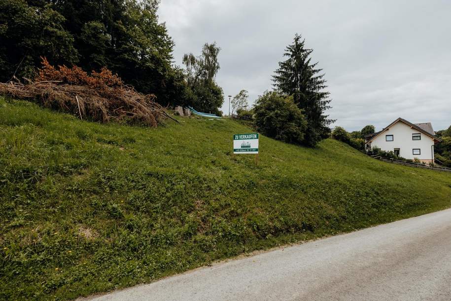 2. Preisreduktion | Sonniges Baugrundstück im Naturpark!, Grund und Boden-kauf, 45.000,€, 8820 Murau