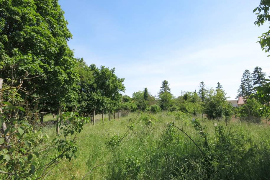 Baugrundstück - 2 Parzellen !, Grund und Boden-kauf, 135.000,€, 2293 Gänserndorf