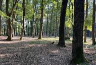BEZUGSFERTIGES Einfamilienhaus im schönen, sonnigen Südburgenland