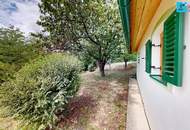 Charmanter, sanierter Weinkeller mit Panoramablick in Eisenberg an der Pinka!