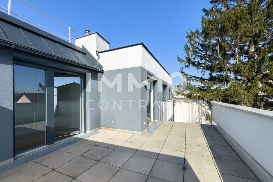 3 Terrassen mit Panormablick bei der Alten Donau, Wohnung-kauf, 550.000,€, 1220 Wien 22., Donaustadt