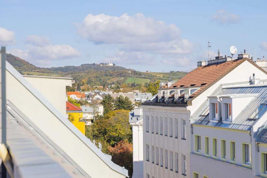 Dachterrassenwohnung mit Altbau-Charme, Wohnung-kauf, 1.250.000,€, 1190 Wien 19., Döbling